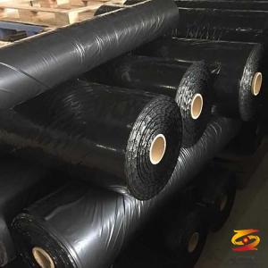 Use mulch all year round, but are you really using it right?