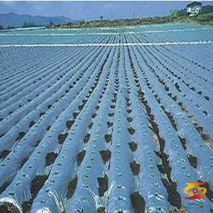 How to choose plastic film? After reading this, you will understand