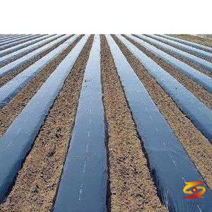 What do we need to pay attention to when covering plastic film?