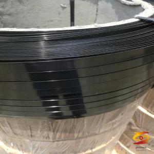 Introduction of PET plastic steel strapping