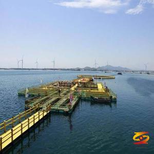 Talking about the pedal of marine breeding that plays a key role in marine breeding