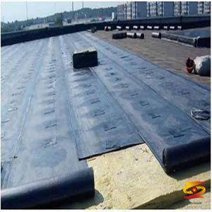 Introduction of PE membrane waterproof membrane