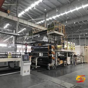 What does the PE side of SBS waterproof membrane mean?