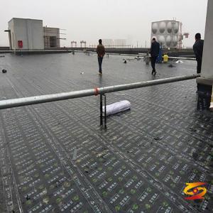 What are the types of polymer waterproof membrane